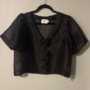 Elegant Black Sheer Blouse